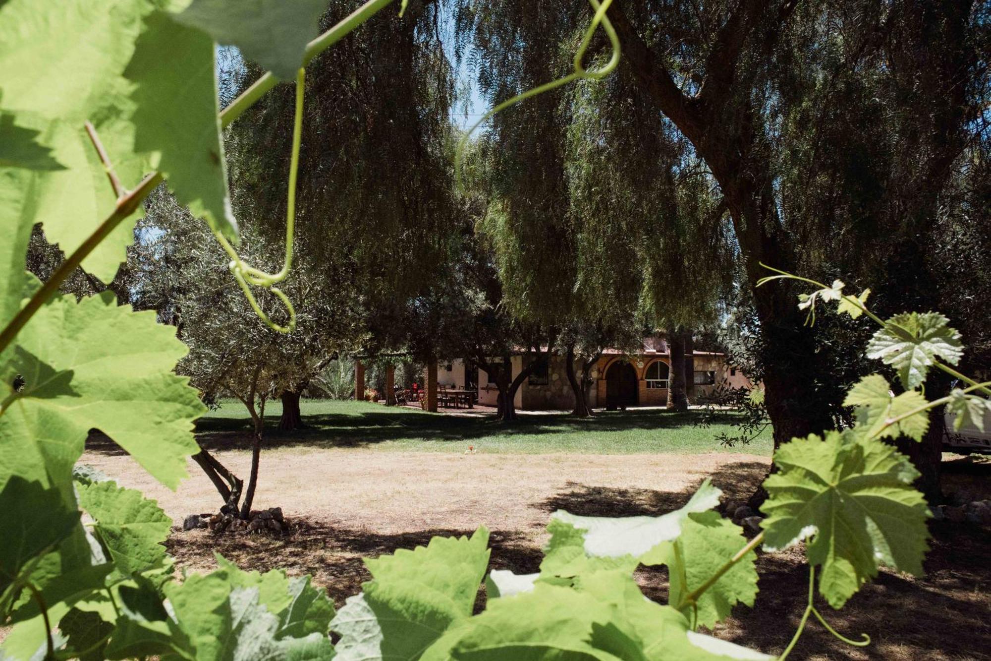 Rancho Toros Pintos Villa Valle de Guadalupe Room photo